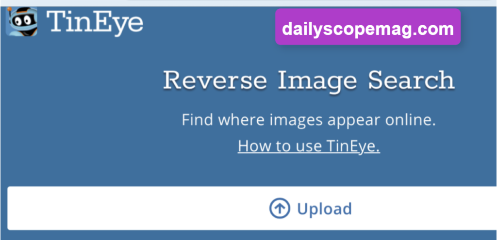 How to Perform Reverse Image Search Easy way: All You Need To Know 4 7e8ec205 cbdc 4d2f b51a 4f6fbf2d38fa